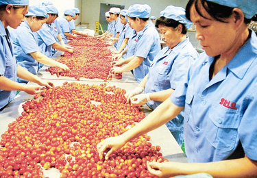 農(nóng)產(chǎn)行業(yè)